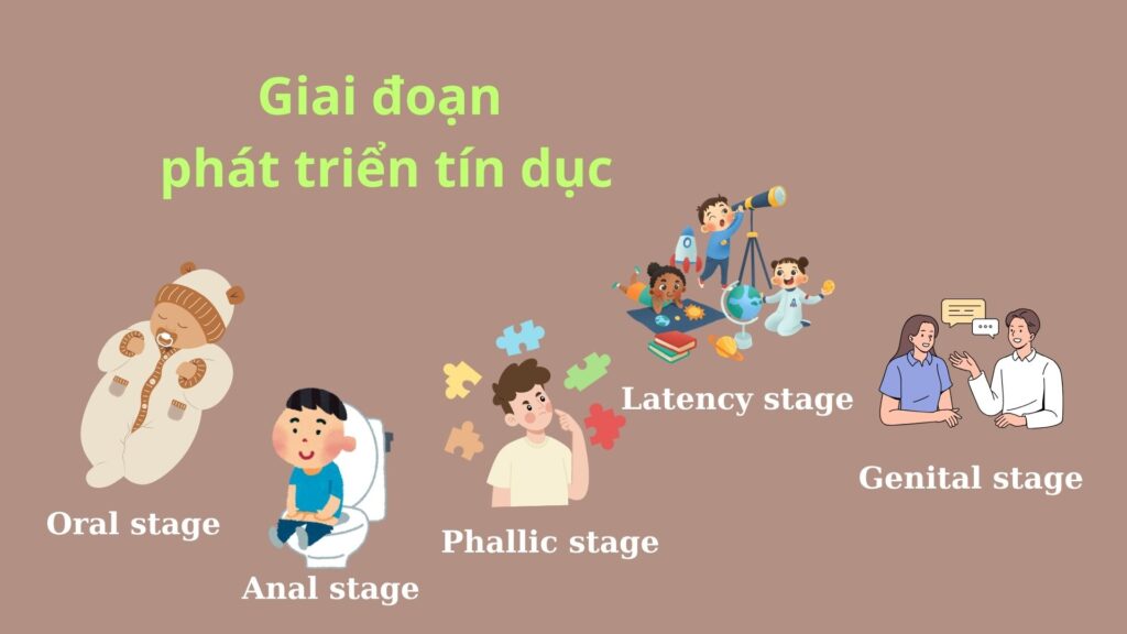 Giai đoạn phát triển tâm lý tín dục
